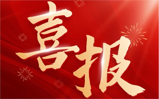 集团荣膺2025中国民营企业500强第249位，制造业民营企业500强第177位，排名较去年双双大幅提升