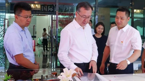 新疆维吾尔自治区领导伊力扎提·艾合买提江莅临bb电子温泉城视察指导